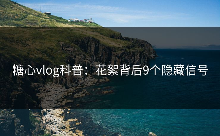 糖心vlog科普：花絮背后9个隐藏信号