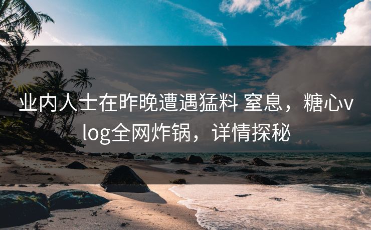 业内人士在昨晚遭遇猛料 窒息，糖心vlog全网炸锅，详情探秘